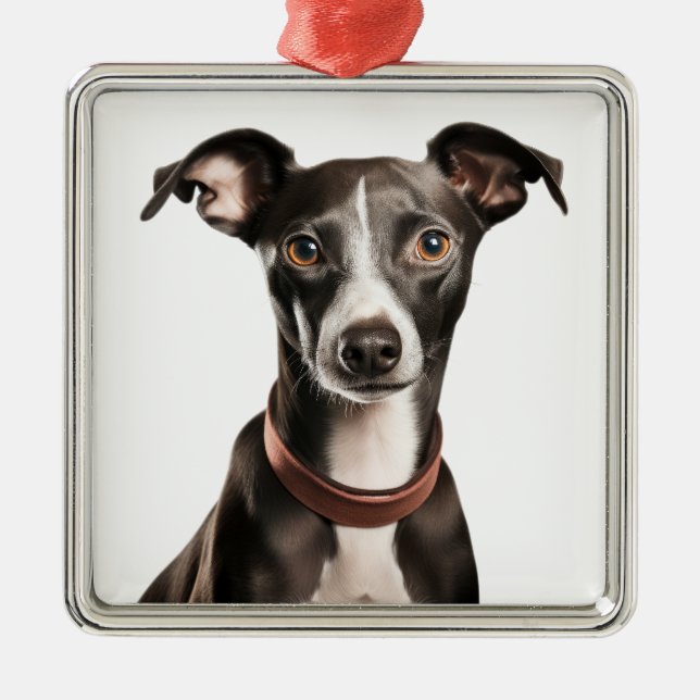 BLACK & WHITE ITALIAN GREYHOUND DOG METAL TREE DECORATION (Front)