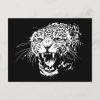 Black & White Jaguar