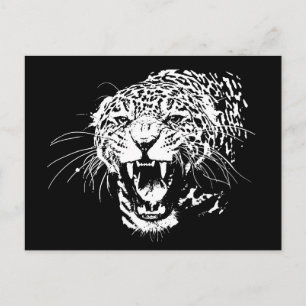 Black & White Jaguar Postcard