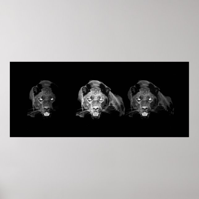 Black & White Jaguar Poster (Front)