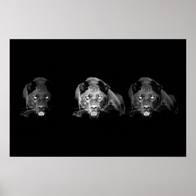 Black & White Jaguar Poster - Wild Cats (Front)