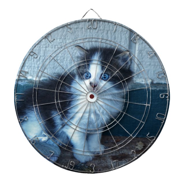 Black + White Kitten Dartboard (Front)