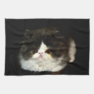Black White Kitten fluffy cat Tea Towel