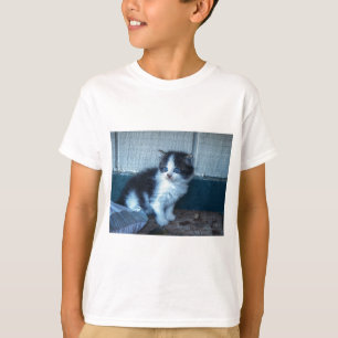 Black + White Kitten T-Shirt