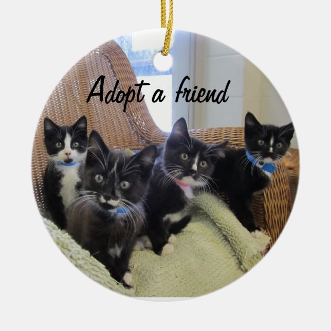 Black & White Kittens Ceramic Tree Decoration (Front)