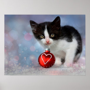 Black & White Kitty Cat Customisable Poster