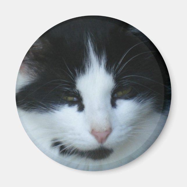 Black & White Kitty Cat Magnet (Front)