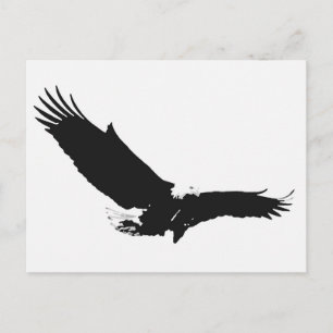 Black & White Landing Eagle Postcard