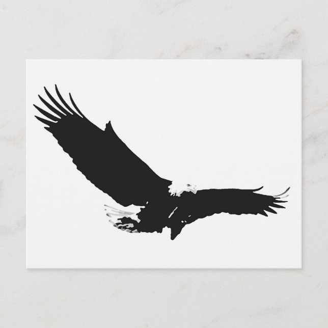 Black & White Landing Eagle Postcard (Front)