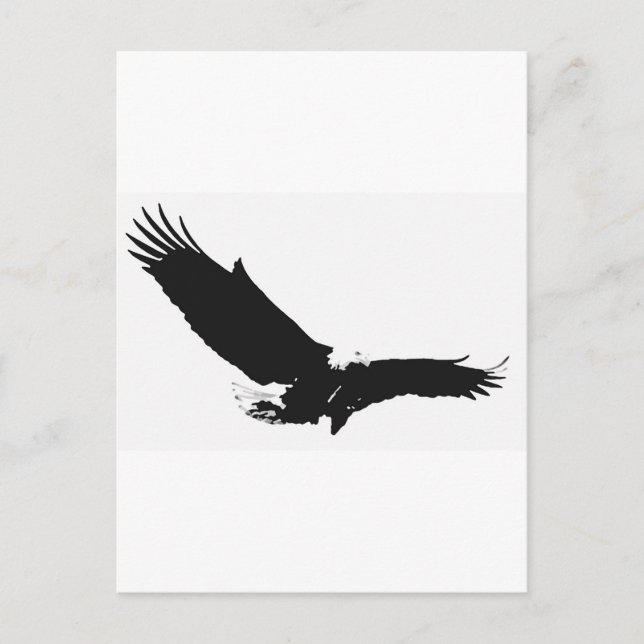 Black & White Landing Eagle Postcard (Front)