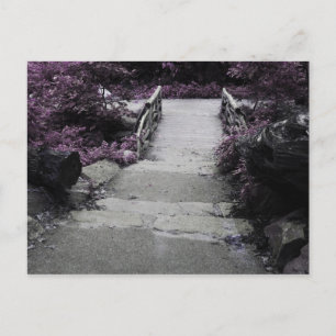 Black & White Landscape Bridge Photo Postcard