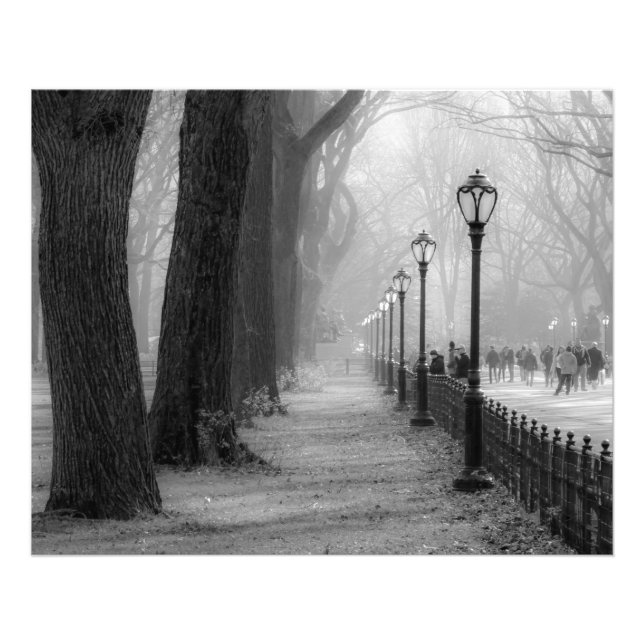 Black & White Landscape in Central Park Photo Print (Front)