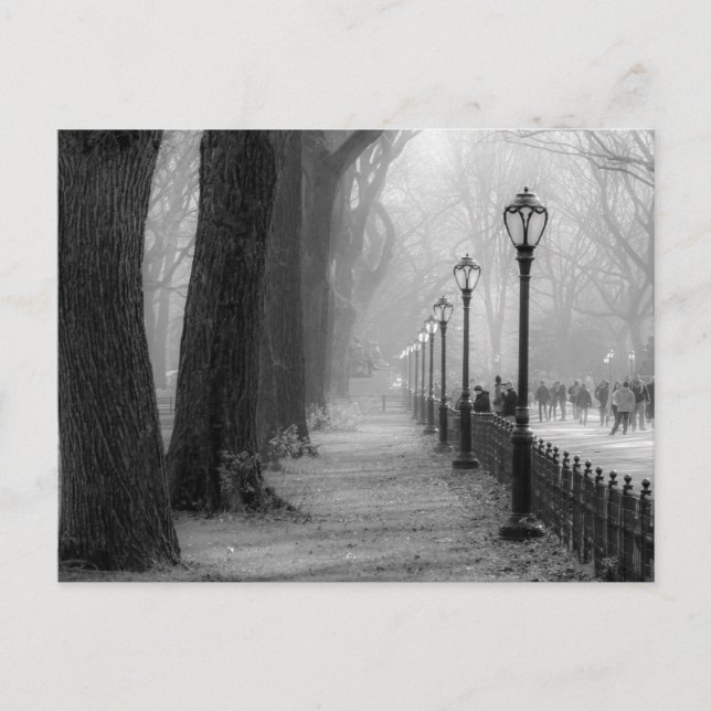 Black & White Landscape in Central Park Postcard (Front)
