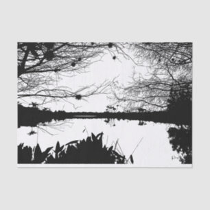Black & White Landscape Tissue Paper