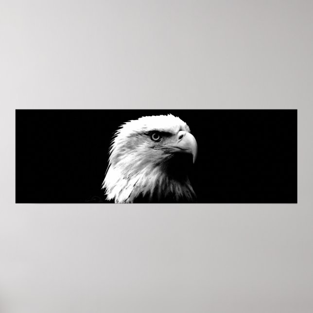 Black & White Leadership Eagle Eyes Door Poster (Front)