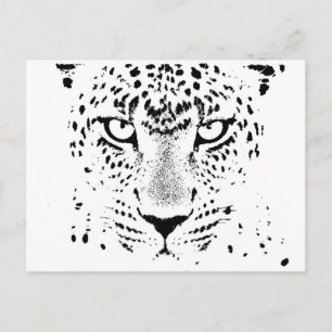 Black & White Leopard Eyes Postcard