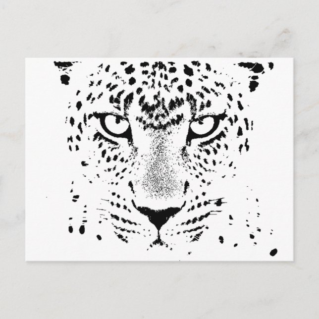 Black & White Leopard Eyes Postcard (Front)