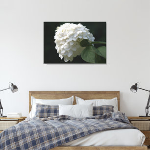 Black White Lime Hydrangea Flower Canvas Print