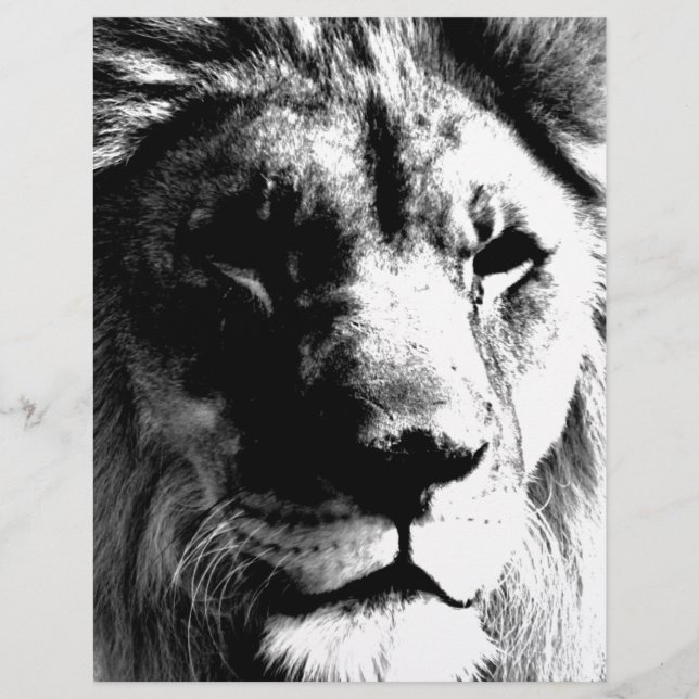 Black & White Lion (Front)