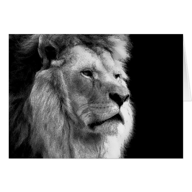 Black White Lion (Front Horizontal)