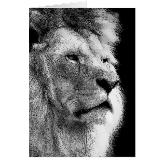 Black White Lion (Front)