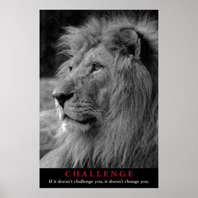 Black & White Lion Animal Motivational Challenge Poster (Front)