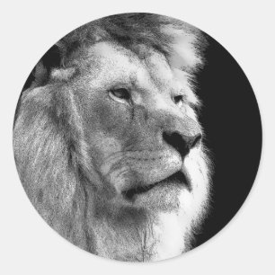 Black White Lion Classic Round Sticker