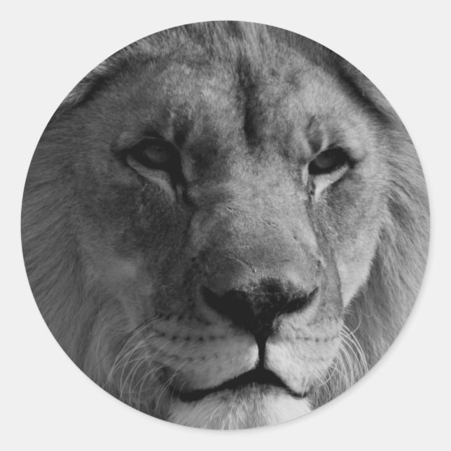 Black & White Lion Classic Round Sticker (Front)