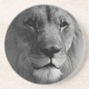 Black & White Lion Coaster