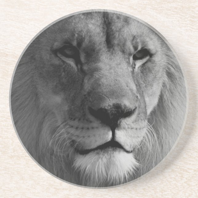 Black & White Lion Coaster (Front)
