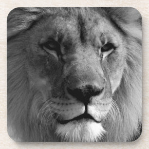 Black & White Lion Coaster