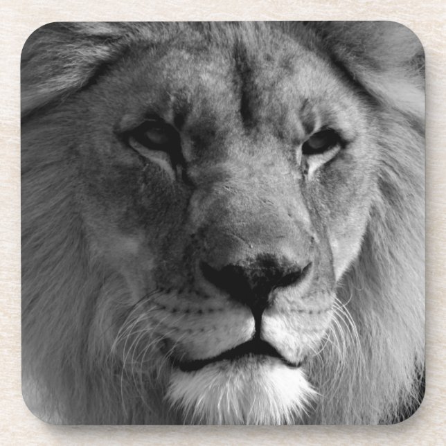 Black & White Lion Coaster (Front)