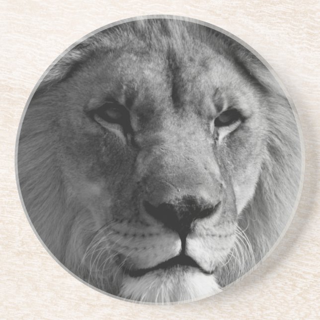 Black & White Lion Coaster (Front)