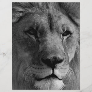 Black & White Lion Letterhead Design
