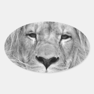 Black & White Lion Oval Sticker