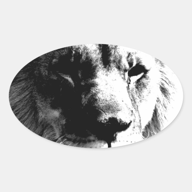 Black & White Lion Oval Sticker (Front)