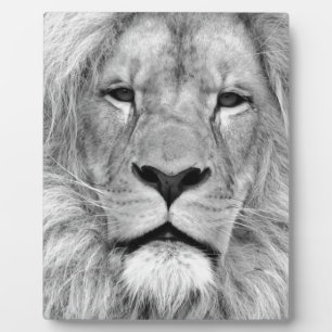 Black & White Lion Plaque