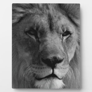 Black & White Lion Plaque