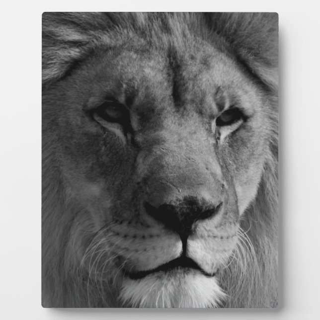 Black & White Lion Plaque (Front)