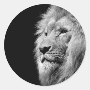 Black White Lion Portrait - Animal Photography Classic Round Sticker