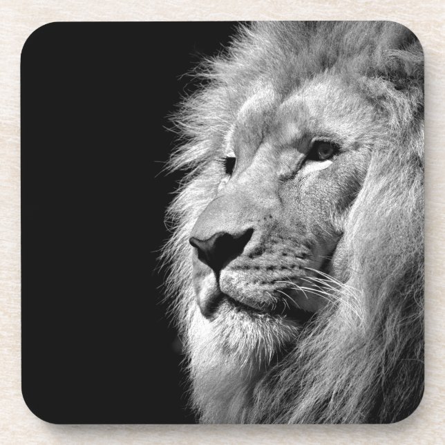 Black White Lion Portrait - Animal Photography Coaster (Front)