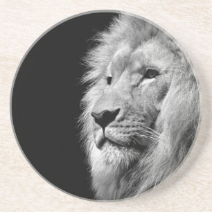 Black White Lion Portrait - Animal Photography Coaster