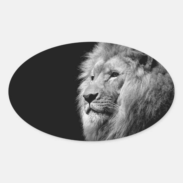 Black White Lion Portrait - Animal Photography Oval Sticker (Front)
