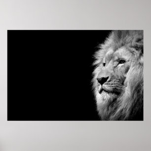 Black White Lion Portrait - Animal Photography Poster