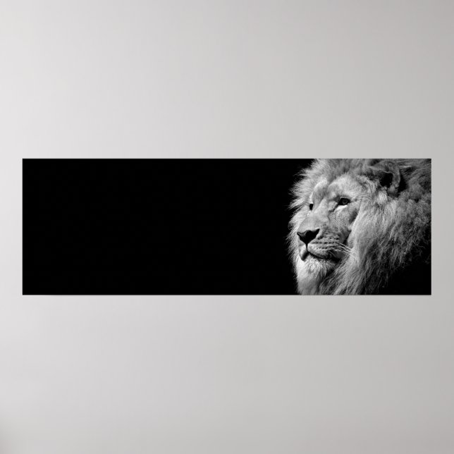 Black White Lion Portrait - Animal Photography Poster (Front)