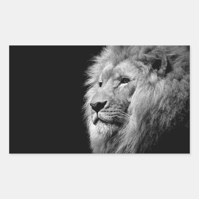 Black White Lion Portrait - Animal Photography Rectangular Sticker (Front)