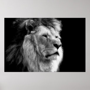 Black & White Lion Poster