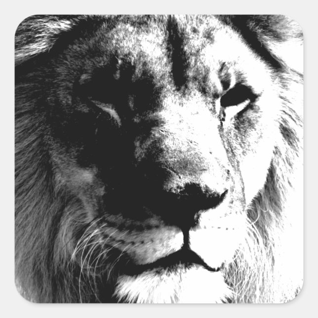 Black & White Lion Square Sticker (Front)