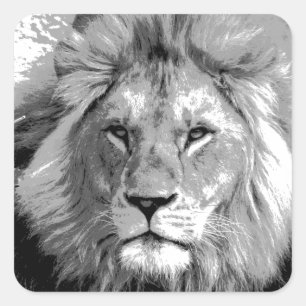 Black White Lion Square Sticker