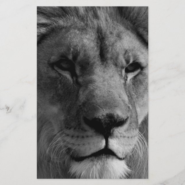 Black & White Lion Stationery (Front)